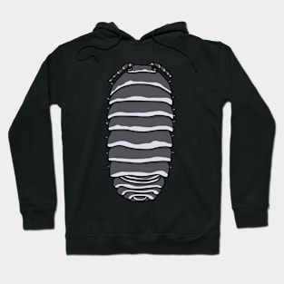 zebra armadillidium species Hoodie